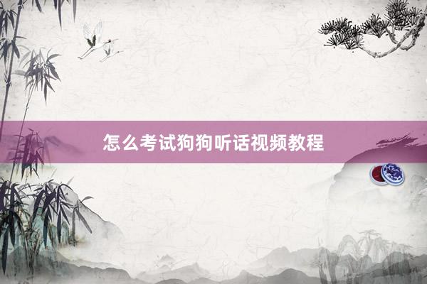 怎么考试狗狗听话视频教程